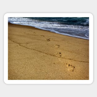 Foot Steps On The Beach Sticker